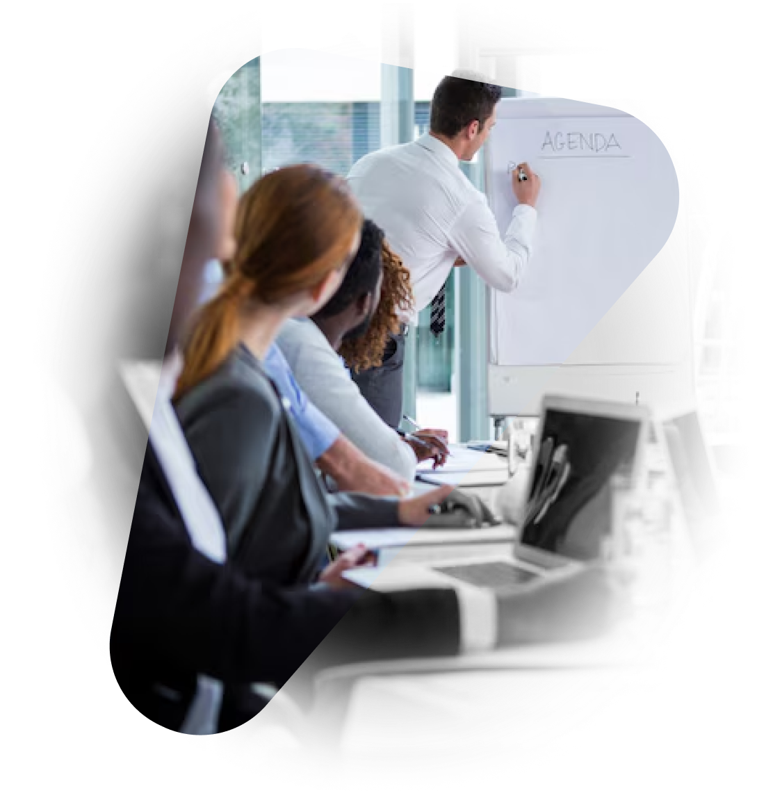 Optional stage: Technical and business training